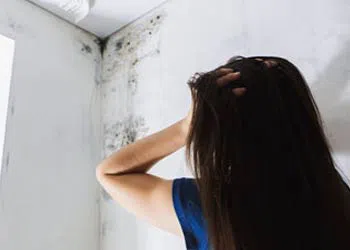 Margate Restoration Company, Margate, FL 954-417-8767 Margate Restoration Company, Margate, FL 954-417-8767 - mold-sidebar