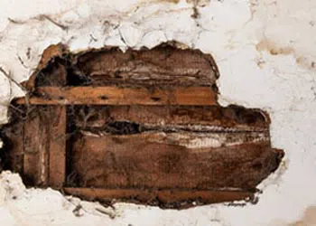 Margate Restoration Company, Margate, FL 954-417-8767 Margate Restoration Company, Margate, FL 954-417-8767 - water-damage-sidebar