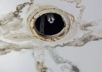 Margate Restoration Company Margate, FL 954-417-8767 Margate Restoration Company Margate, FL 954-417-8767 - water-leaks-side